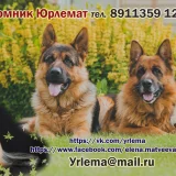 Ветеринарная клиника Юрлемат  на проекте VetSpravka.ru
