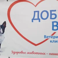 Ветеринарная клиника Добровет на проекте VetSpravka.ru Ветеринарная клиника Добровет на проекте VetSpravka.ru