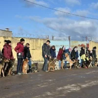 Общественная организация Зоозащита Фото 2 на проекте VetSpravka.ru Общественная организация Зоозащита Фото 2 на проекте VetSpravka.ru